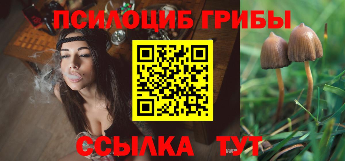 Галлюциногенные грибы MAGIC MUSHROOMS Ростов Великий