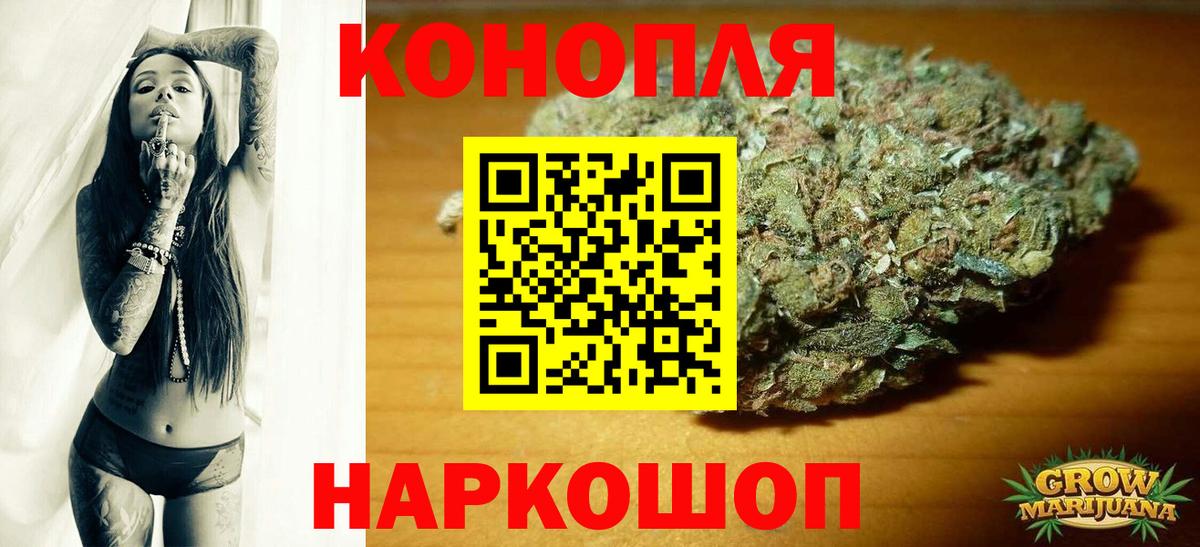 Бошки марихуана Amnesia  Конопля Ganja  Ростов Великий  Канабис план  Вход с VPN  Марихуана конопля 